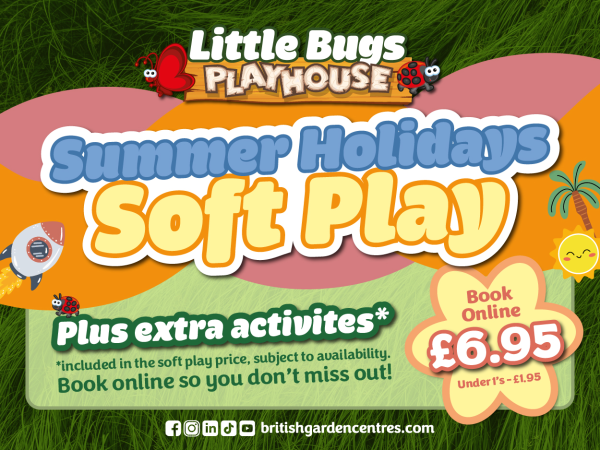 BRIGG SUMMER ACTIVITIES