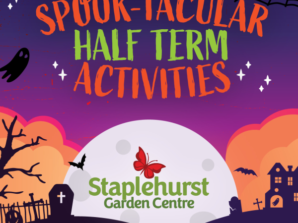 Staplehurst Children's Events