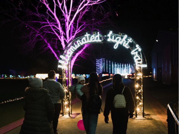 Any Day Light Trail Tickets 2026