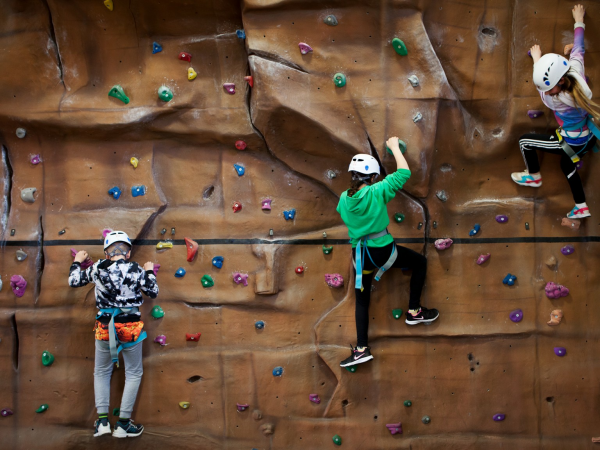 Activity and Adventure