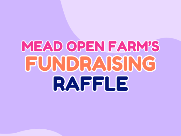 Charity Raffle