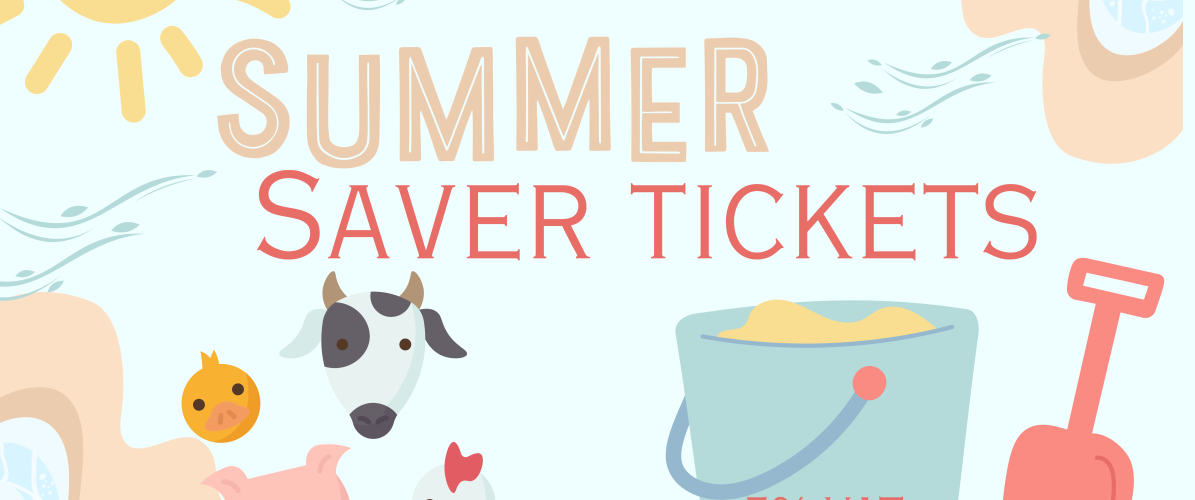 Summer Saver 5% VAT