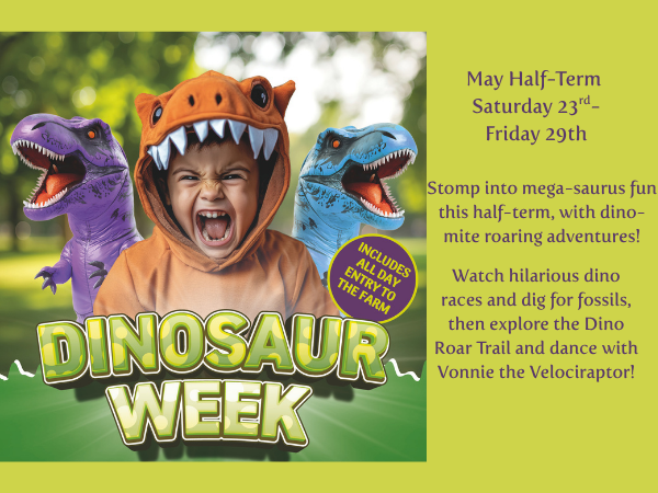 Admission 2026: Dinosaur event: May half term