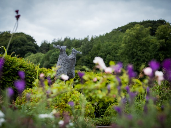 New Lanark Roof Garden Pass