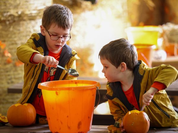 Halloween Spooktacular 2025 - Book this option for 11th&12th, 18th&19th, 25th-31st Oct
