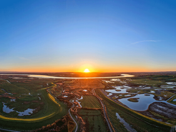 WWT Steart Marshes Events