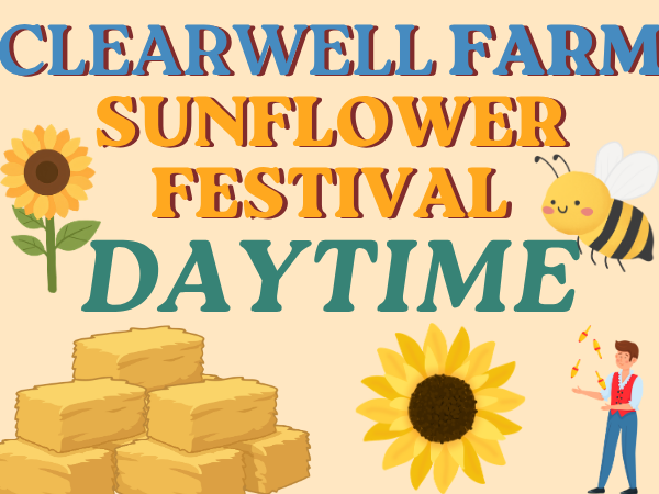 The Sunflower Festival - Daytime