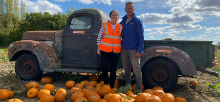 The Pumpkin Patch at COLCHESTER CO6 3PT