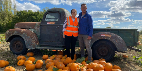 The Pumpkin Patch at COLCHESTER CO6 3PT