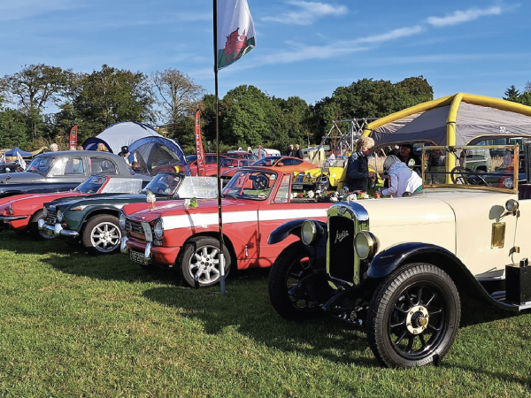 Classic Car and Dog Show 2025