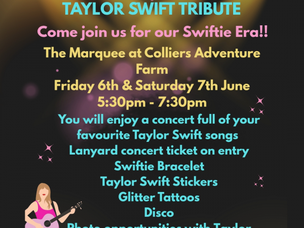 Concert @ Colliers with Taylor