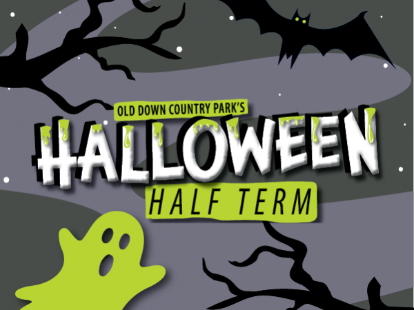 Halloween Half Term