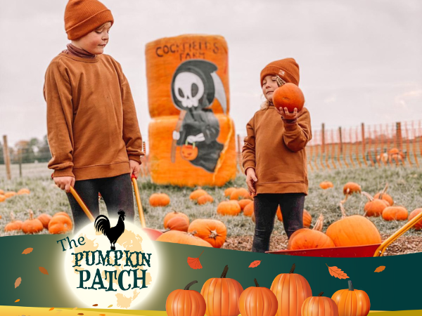 The Pumpkin Patch