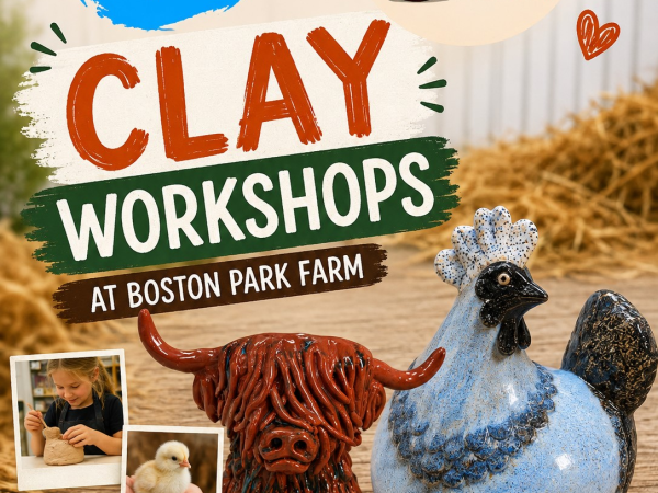 Clay Workshops