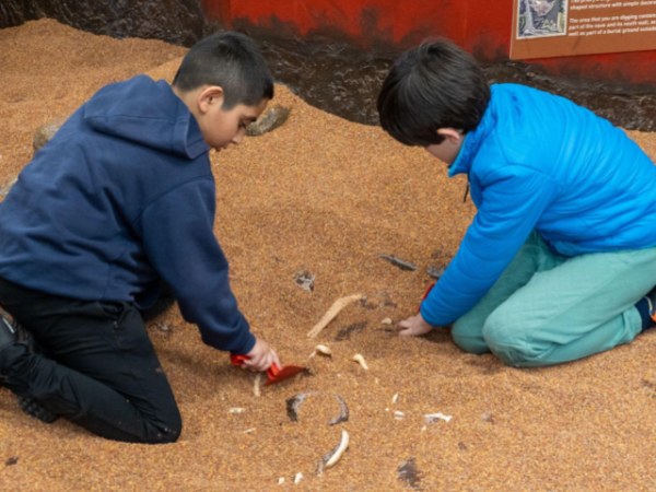 Home Educator Experience Day