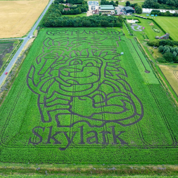 Summer Maize Maze & Funyard