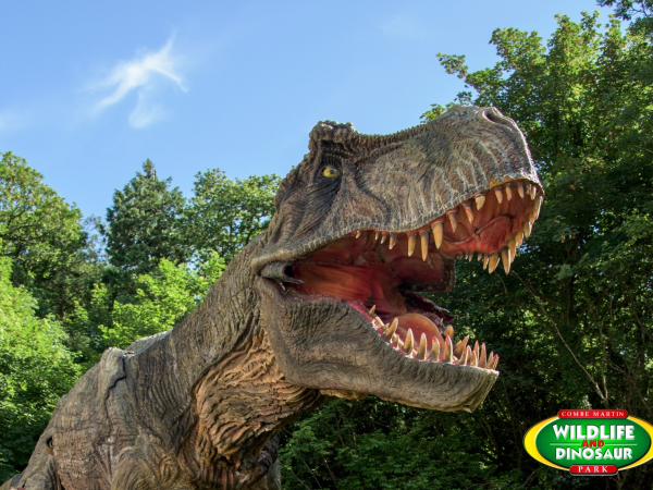 Combe Martin Wildlife & Dinosaur Park Guests
