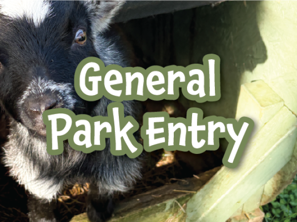 General Park Entry