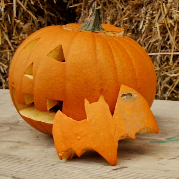 PYO Pumpkins