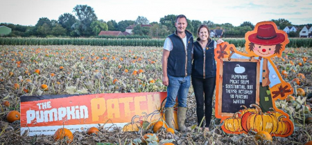 The Pumpkin Patch at BASILDON SS15 4ER