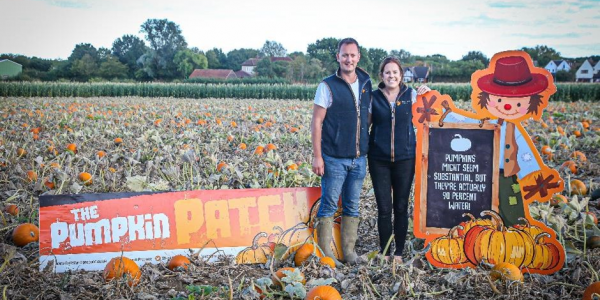 The Pumpkin Patch at BASILDON SS15 4ER