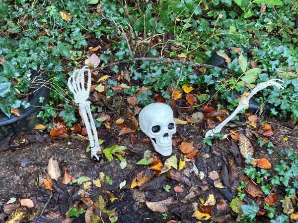 Halloween Tickets 2025