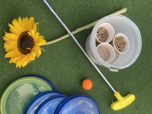 Multi golf