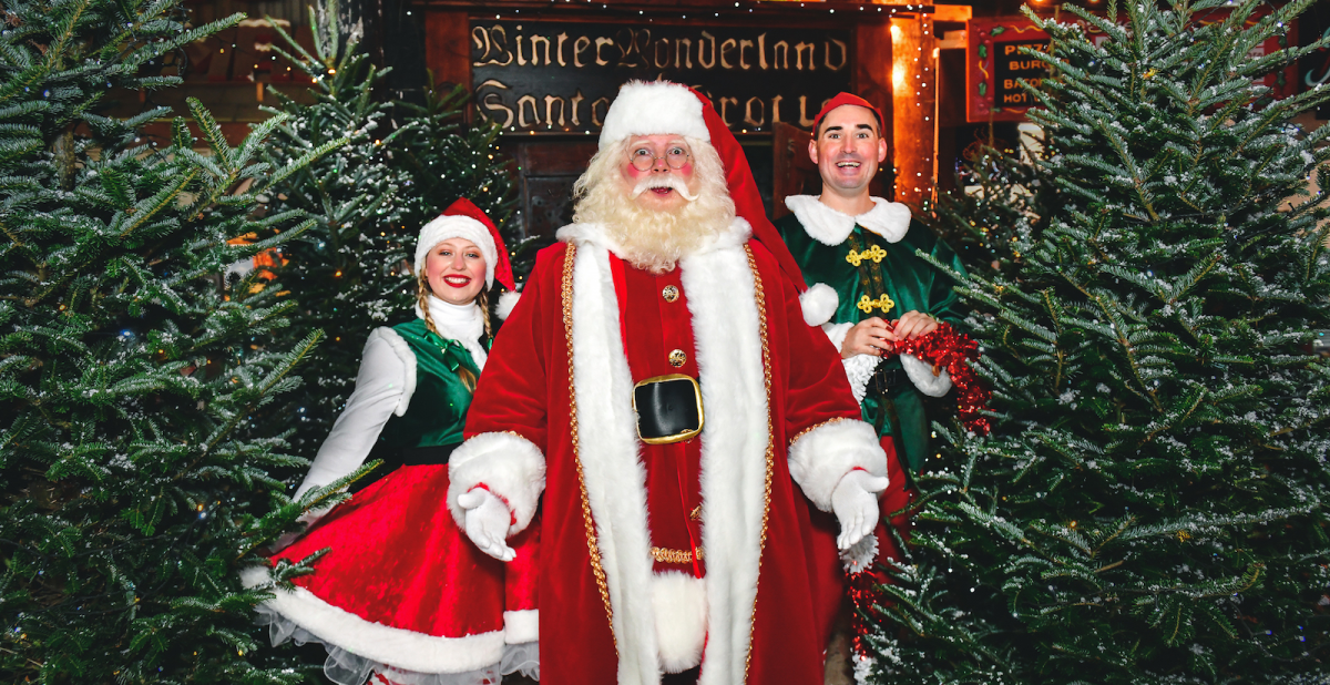 Buy Santa's Grotto Tickets online Gower Fresh Christmas Trees