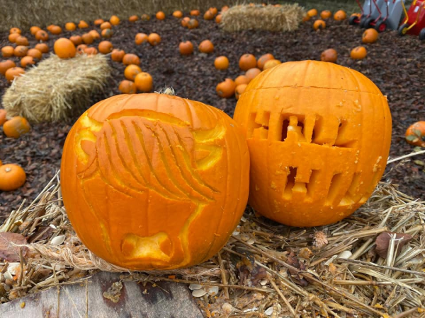 Halloween at the Farm (18th October - 2nd November)