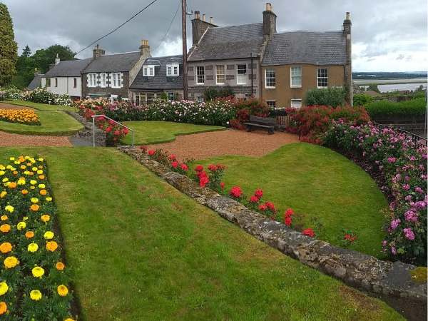 Bringing Back the Roses at Auchterarder Library