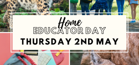 Home Educator Day