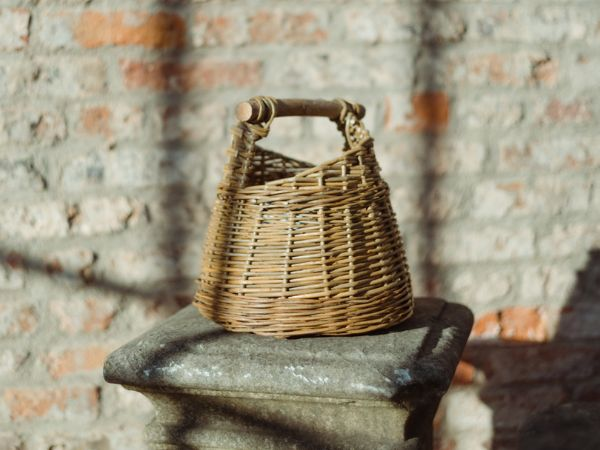 Willow Basket Weaving Workshop