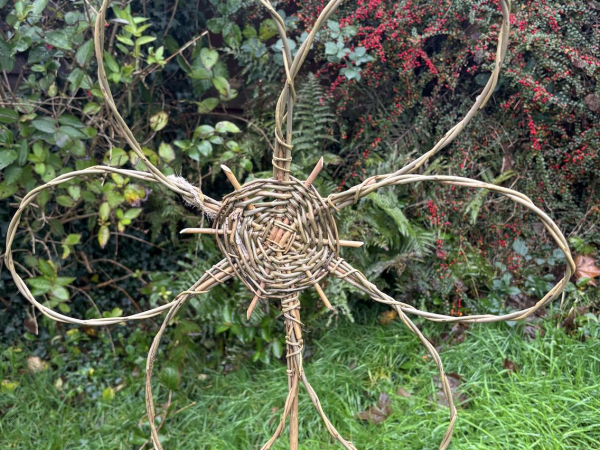 Flower Willow Weaving Workshop