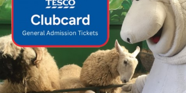 Tesco General Admission Tickets