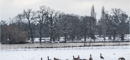 Artisan Christmas Market