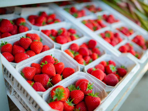 Pick Your Own