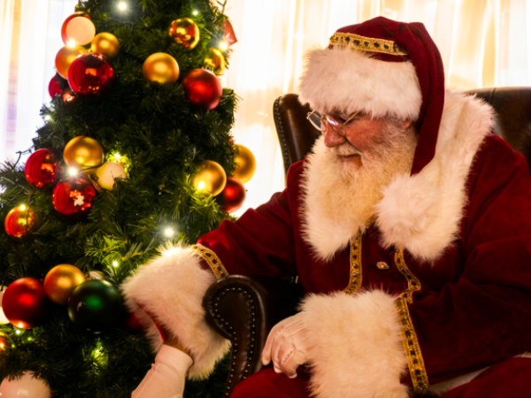 Santa's Grotto Experiences 2026