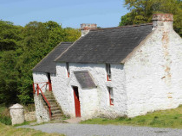 Homes in Focus