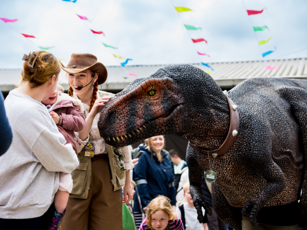 Dinosaurs at Rand Farm Park