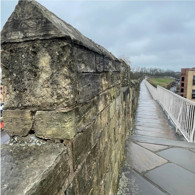 Buy Walking Tour Tickets online York Archaeology