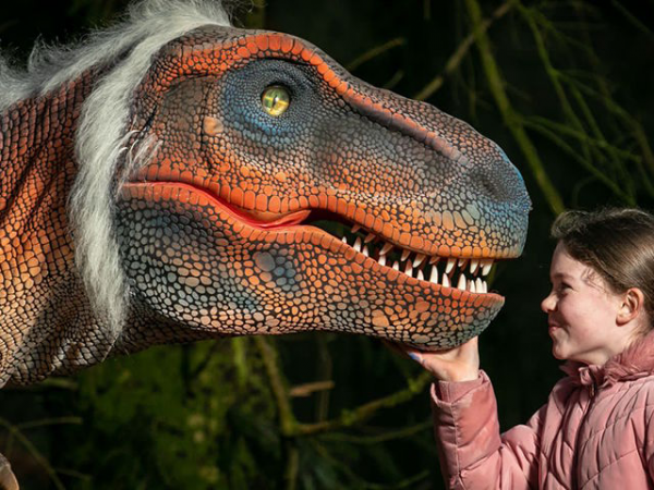 The Jurassic Express
