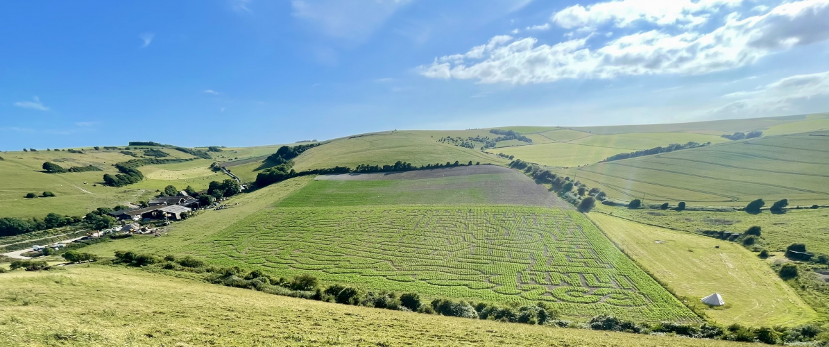 Maize Maze Tickets