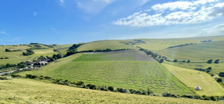 Maize Maze Tickets