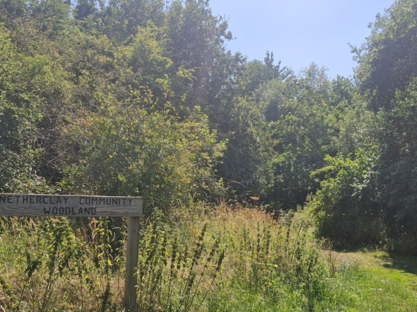 Netherclay Community Woodland Events