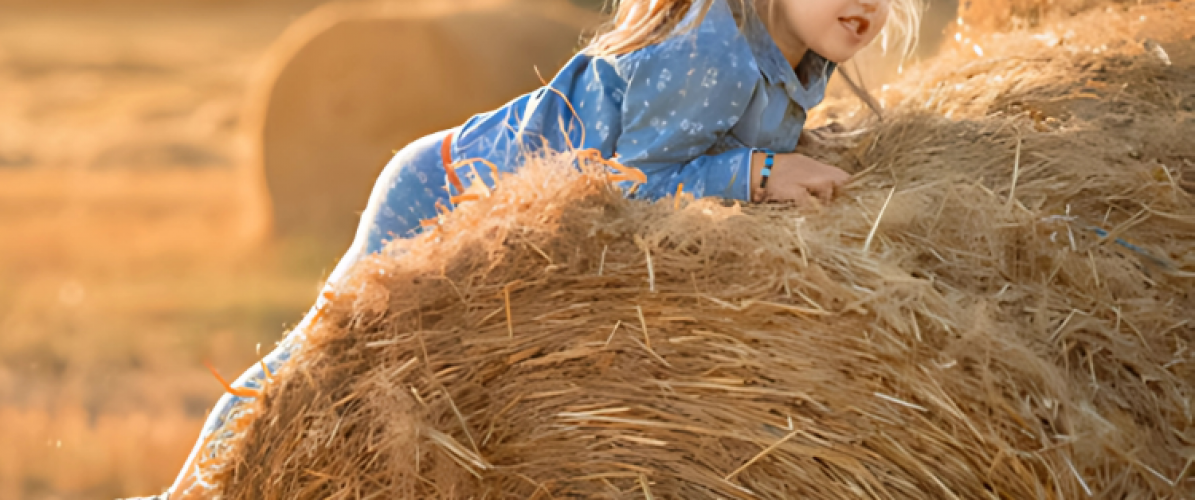 Harvest Festival