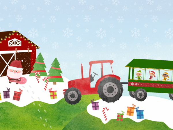 Father Christmas on the Farm