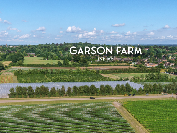 GARSON FARM, ESHER, SURREY