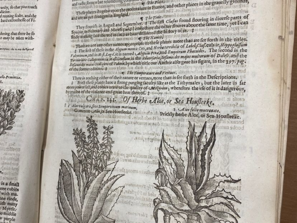 Gerard’s Herbal: History of Plants