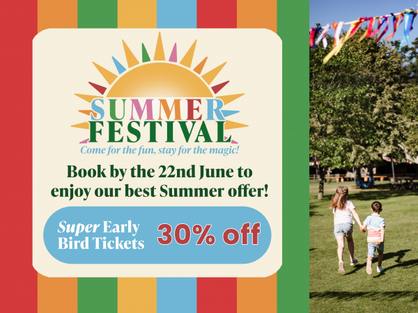 Summer Festival 2025 - 19th July to 31st August