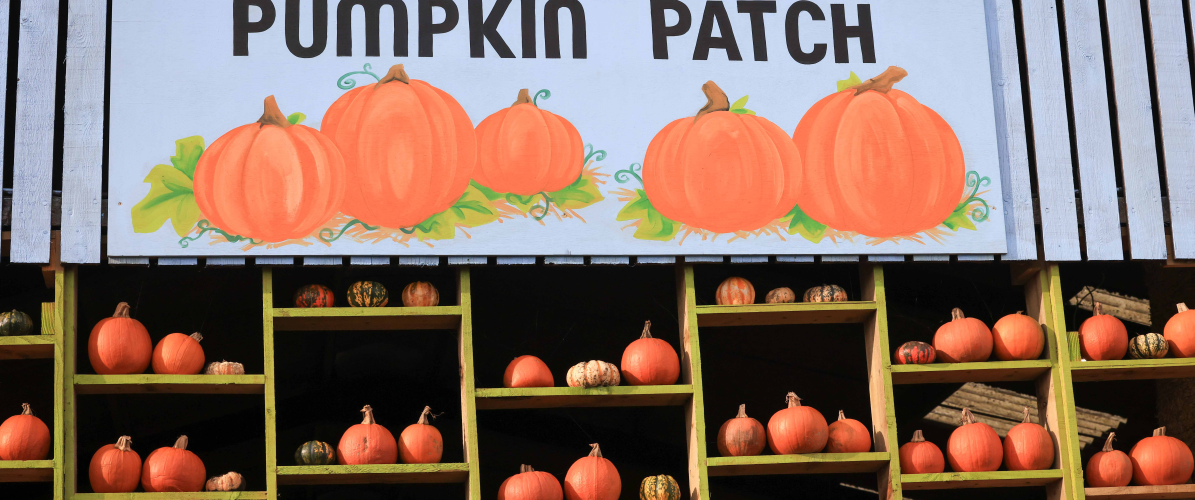 Halloween Spooktacular 2026